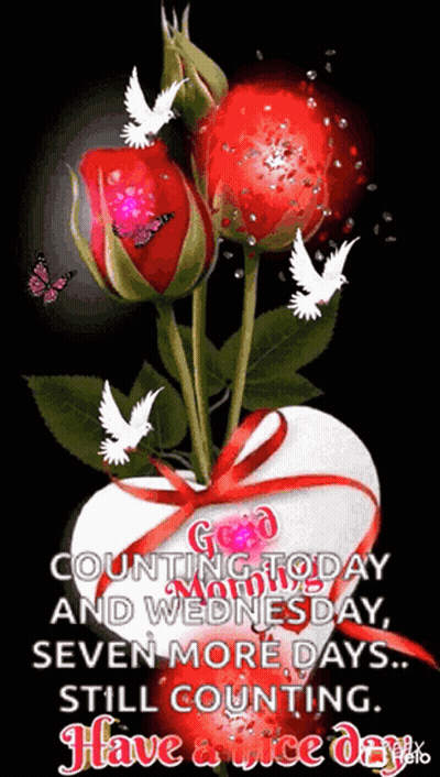 Red Roses In Heart Vase With Bow GIF