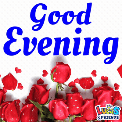Red Roses Saying Good Evening GIF