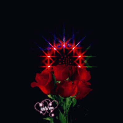 Red Roses Surrounded By Rainbow Colors GIF