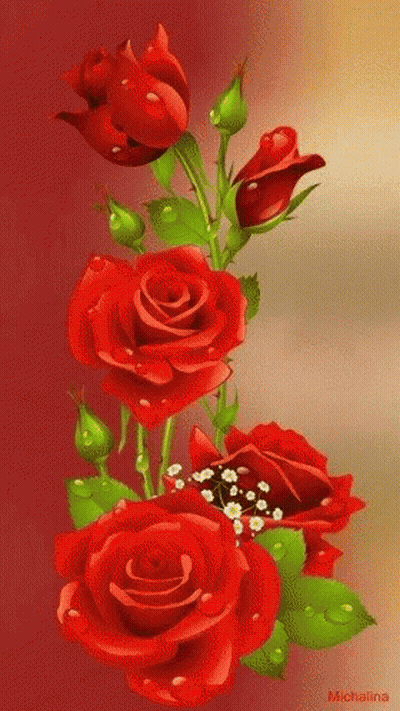 Red Roses With Green Leaves And Baby's Breath GIF