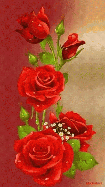 Red Roses With Green Leaves And Water Drops GIF