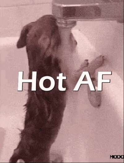 Red Shirt Man Smiling Yeah You Know It's Hot Too GIF