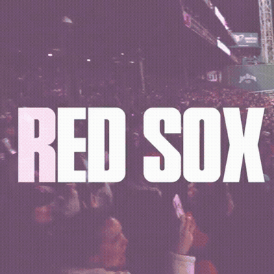 Red Sox Sign In Crowd GIF