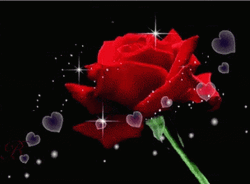 Red Sparkly Flores GIF