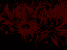 Red Spider Lilies Anime Flower GIF 