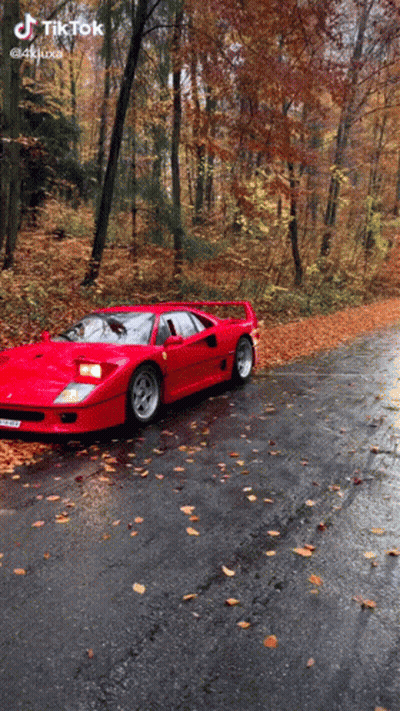 Red Sports Car Driving Down Leafy Road GIF