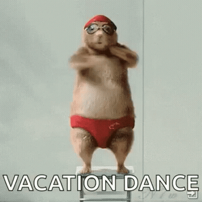 Red Swim Trunks Hamster With Goggles On Ladder GIF