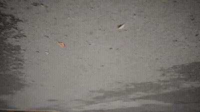 Red Telephone Booth Reflected In Puddle GIF
