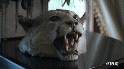 Red Wagon Filled With Puppies GIF