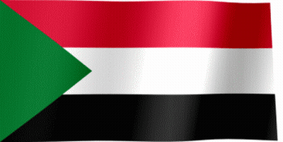 Red White And Black Flag With Green Triangle GIF