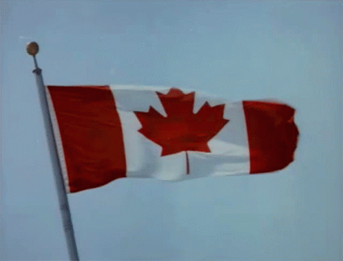 Red White And Blue Canadian Flag With Maple Leaf GIF