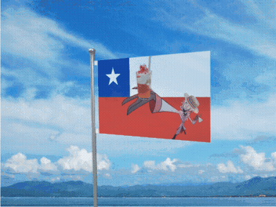 Red White And Blue Flag With White Star GIF