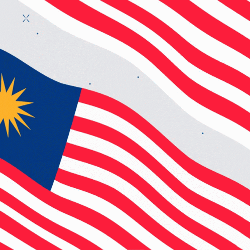 Red White And Blue Flag With Yellow Star GIF