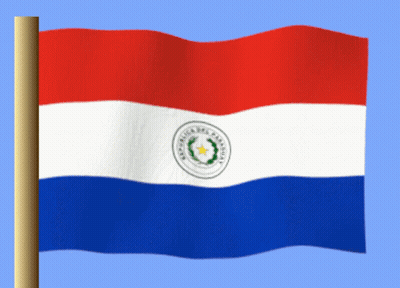 Red White And Blue Paraguay Flag GIF