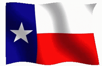 Red White And Blue Texas Flag With White Star GIF