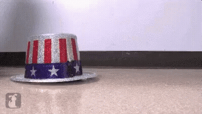 Red White And Blue Top Hat With Stars GIF