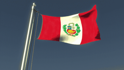 Red White And Green Flag Flying In Wind GIF