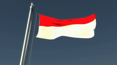Red White And Green Flag Flying In Wind GIF