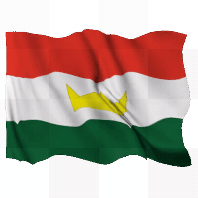 Red White And Green Flag With Yellow Crown GIF