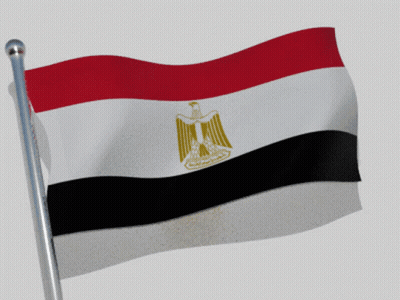 Red White Black Flag With Eagle Flying In Wind GIF