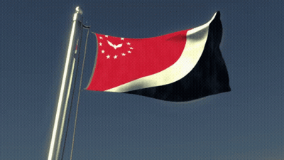 Red White Black Flag With Stars And Eagle GIF