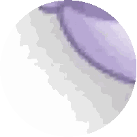 Red White Purple Circle With Purple Center Sticker