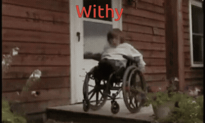 Red Withy Person In Wheelchair GIF