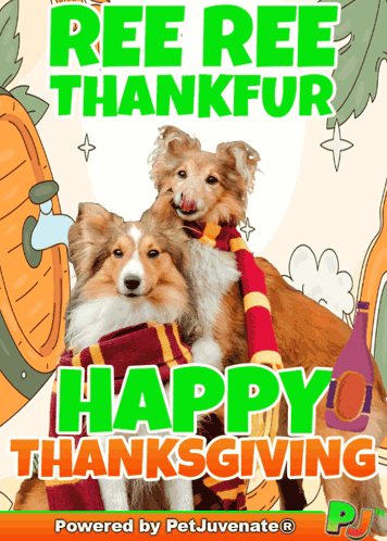 Ree Ree Thankfur Happy Thanksgiving Poster With Two Dogs Wearing Scarves GIF