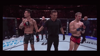Referee Between Two Boxers GIF