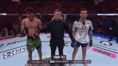 Referee Between Two Fighters In Boxing Ring GIF