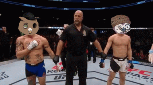 Referee Between Two Fighters In UFC Boxing Ring GIF