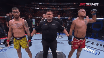 Referee Between Two Fighters In UFC Match GIF