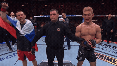 Referee Between Two UFC Fighters GIF