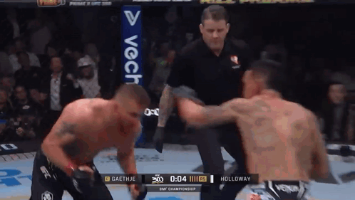 Referee Between UFC Fighters GIF