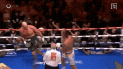 Referee In Boxing Ring Shirt Says Lucky Vista GIF