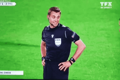 Referee In FIFA Shirt On Field GIF