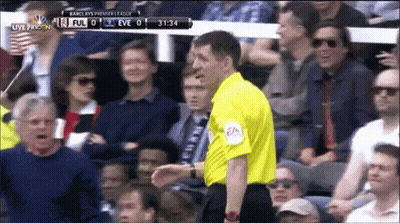 Referee In Front Of Crowd During Soccer Game GIF