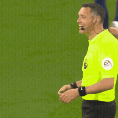 Referee In Front Of Crowd First Down GIF