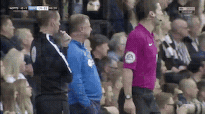 Referee In Purple Shirt With EA Sleeve In Front Of Crowd GIF