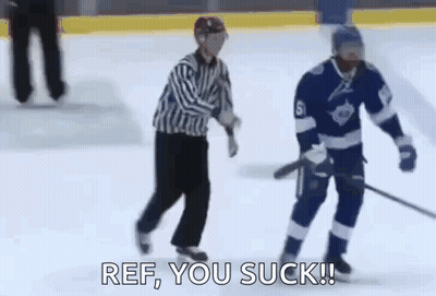 Referee Next To Hockey Player On Ice GIF