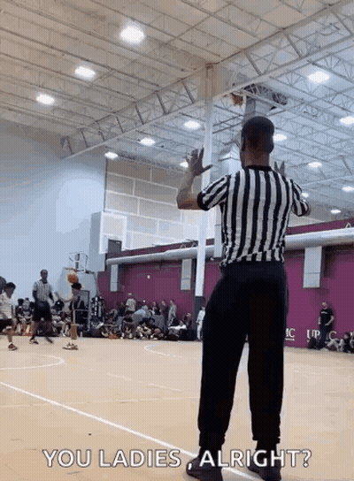 Referee NFL Game Pittsburgh Vs New England Patriots GIF