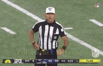 Referee On Field During Steelers Vs Patriots Game GIF