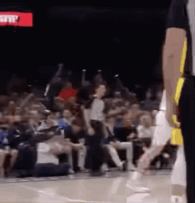 Referee Standing On Basketball Court GIF