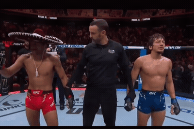 Referee Stands Between Two UFC Fighters GIF