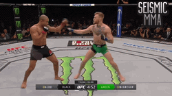 Referee Stopping Conor Mcgregor