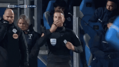 Referee Thumbs Up Crowd GIF