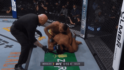 Referee Watching Morales Vs Giles UFC Fight GIF
