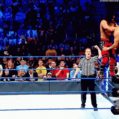Referee Watching Wrestling Match GIF