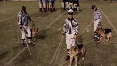 Referee With Two German Shepherds On Leashes GIF
