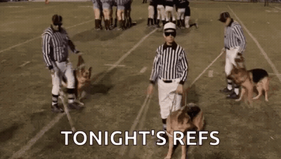 Referees Walking German Shepherds On Field GIF